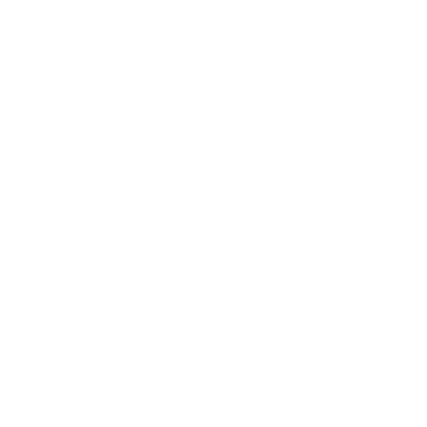 Reisepass mit Weltkugel - USA in die EU: Visum & Immigration Service