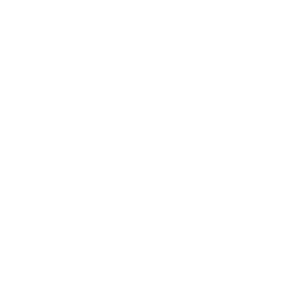 Checkliste und Dokumentenübersicht für das Visum beim Umzug in die USA