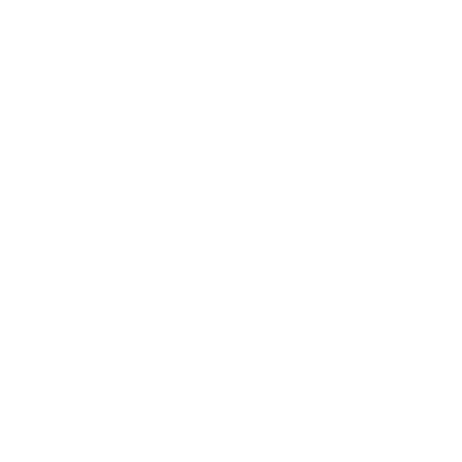 Icon einer Zoll-Dokumentenliste mit Paketen – visuelle Darstellung für Zollprozesse beim USA-Umzug.