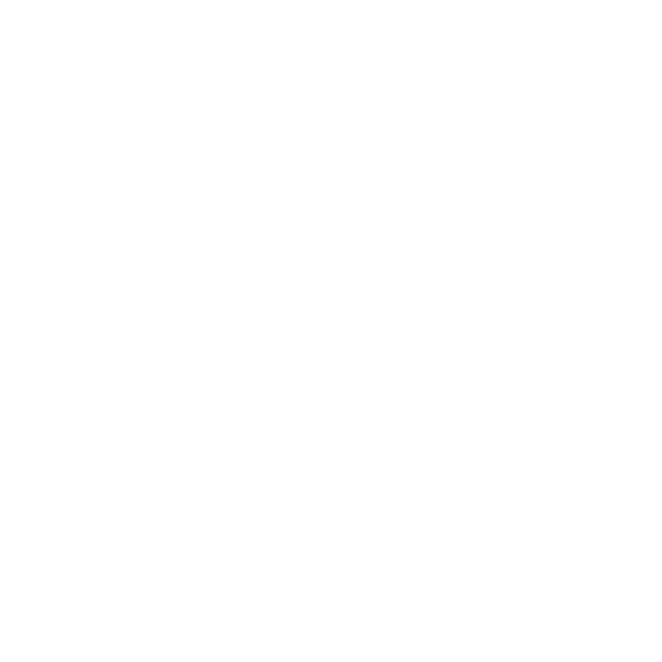 Symbol eines Zollbeamten – steht für Zollklarheit und transparente Zollabwicklung.