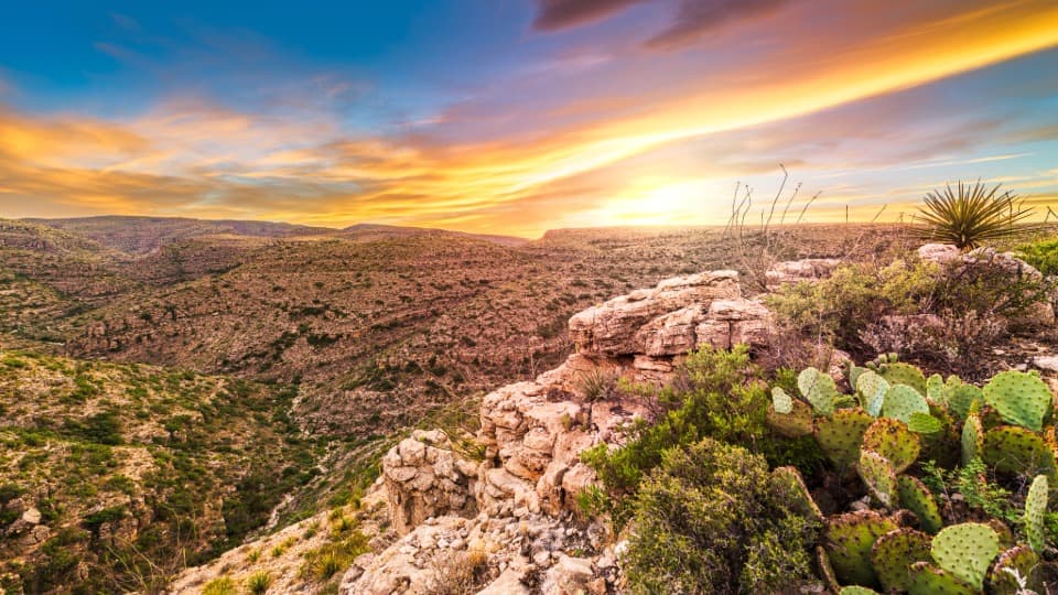 Rocky landscape with cacti in Mexico at sunset.