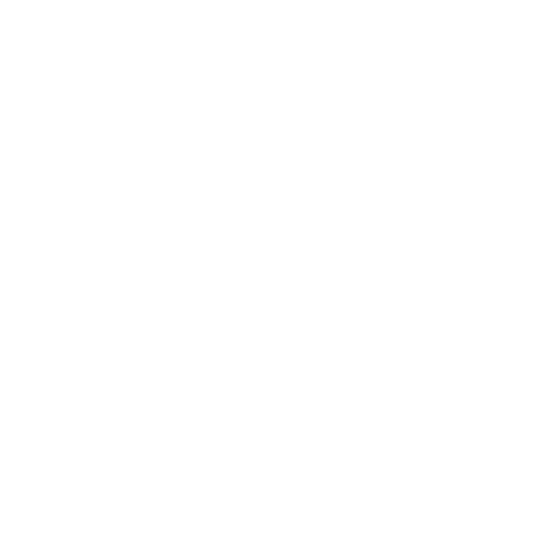 Flugzeug als Symbol für Luftfracht nach Indien