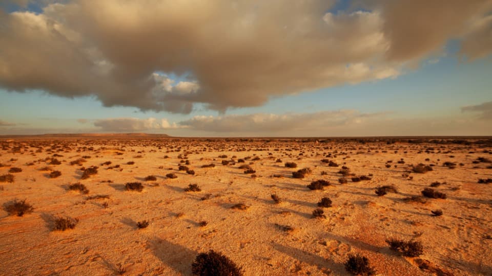 Auswandern nach Marokko: Sicherheit - Bild der Westsahara